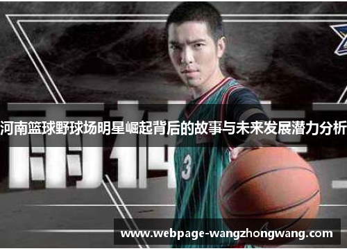 河南篮球野球场明星崛起背后的故事与未来发展潜力分析